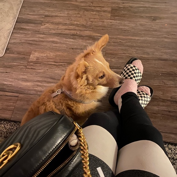 Meet your Posher, - Picture 9 of 13